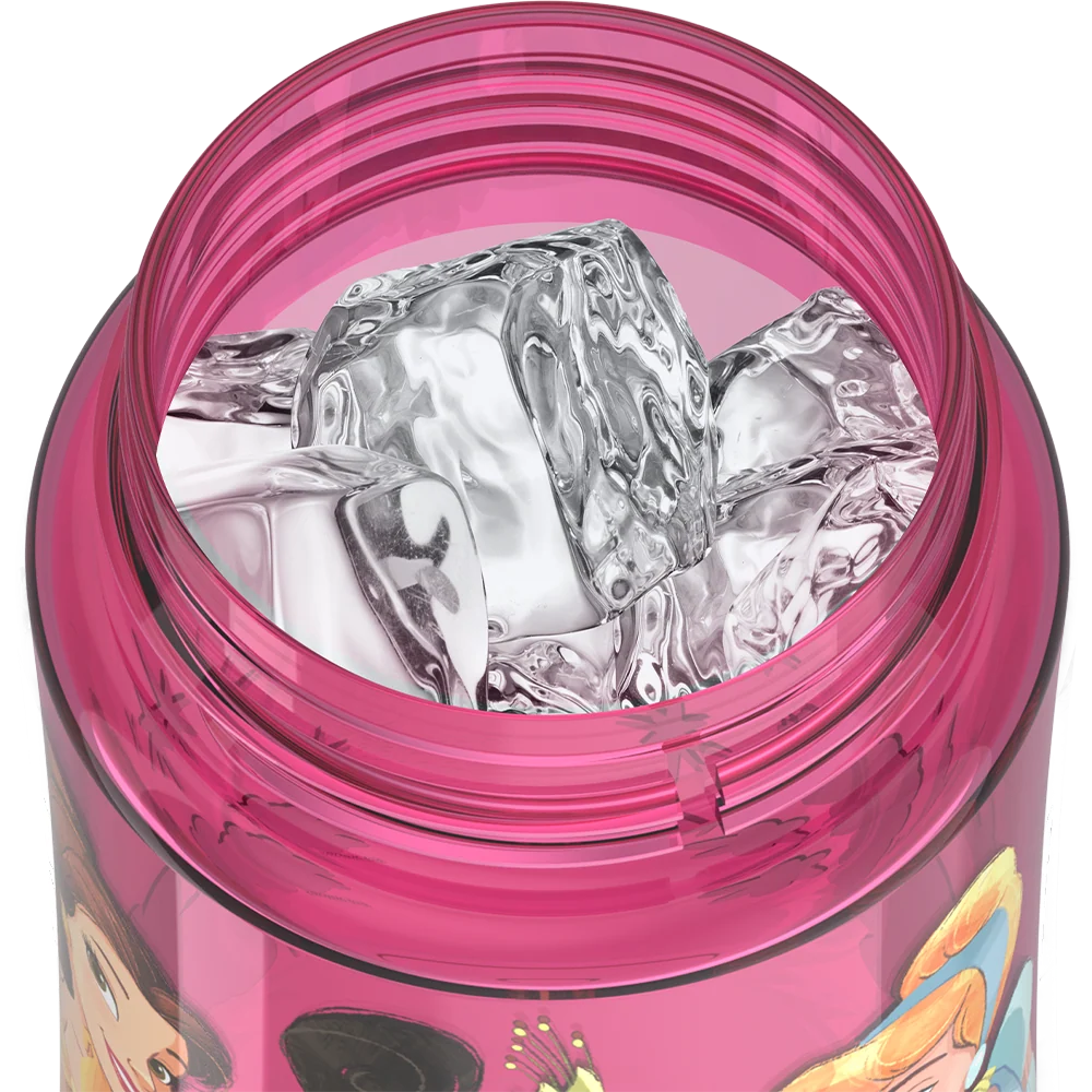 16oz Thermos® Kids Water Bottle With Spout Lid Disney Princess